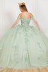 Floral Appliqués Off Shoulder Ball Gown for Women, Sizes 4/XS-16/3X